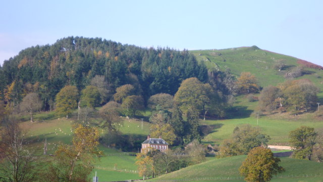 Llangedwyn fields and sheep